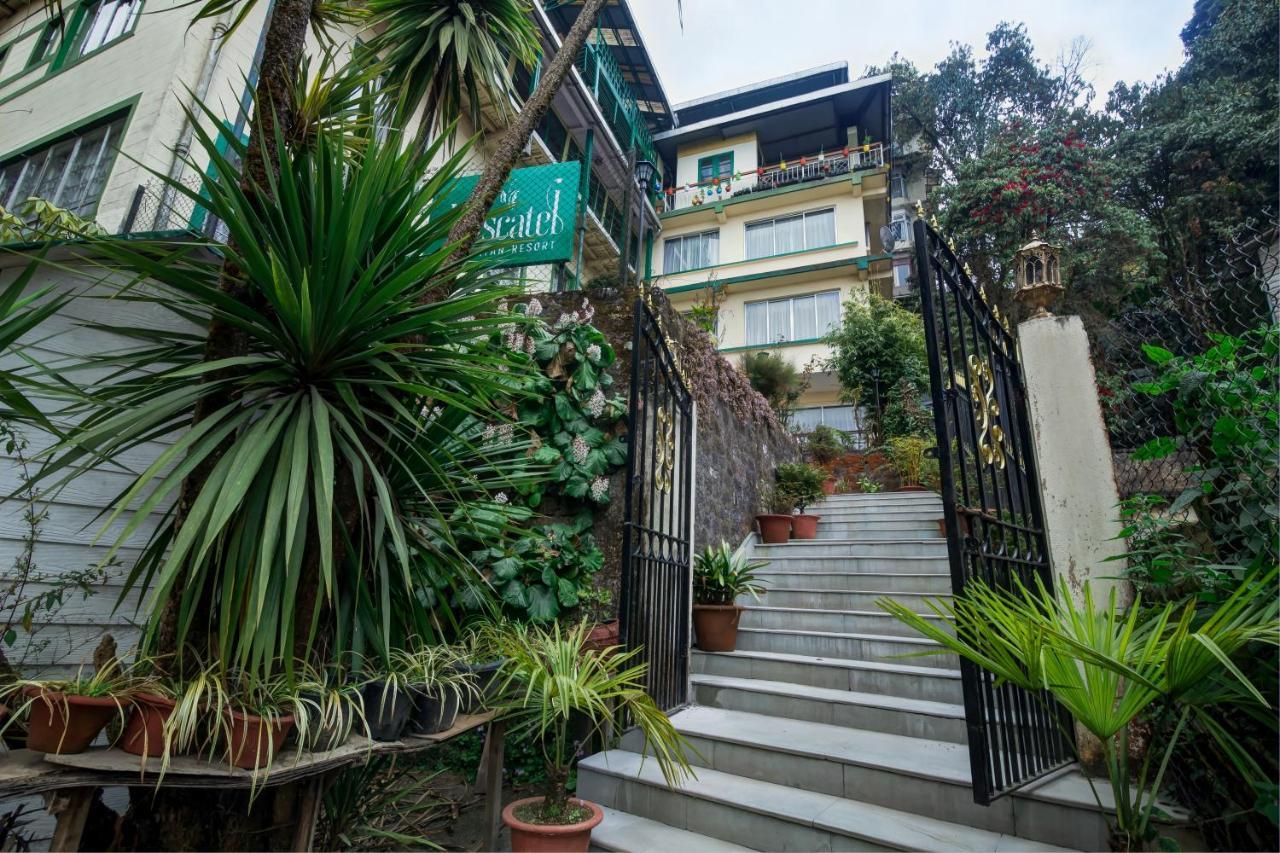 Muscatel Himalayan Resort - 400 Mts From Mall Road Darjeeling  Esterno foto